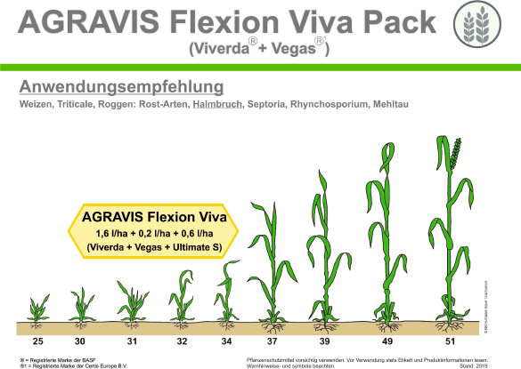 Flexion